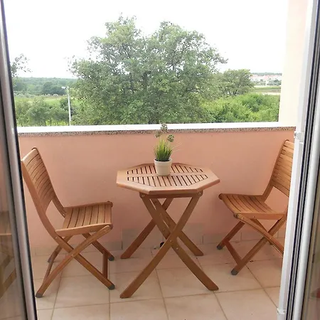 Tatil Evi Holiday David